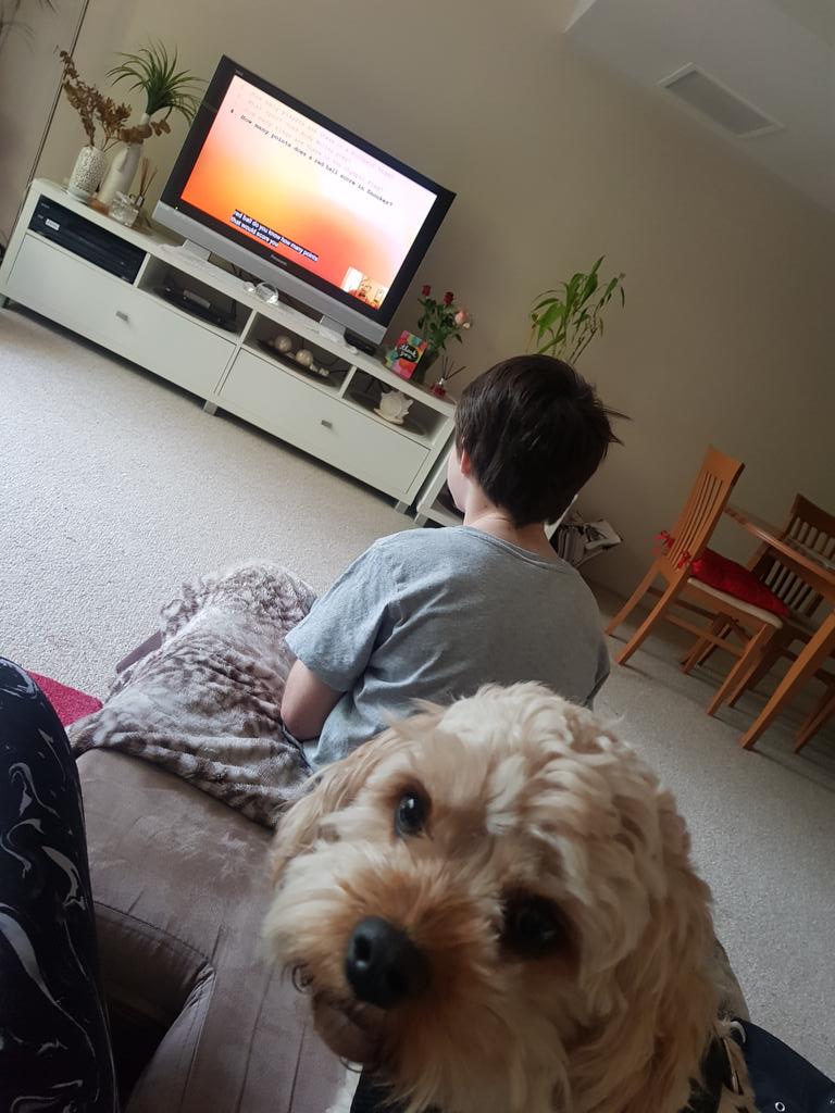 water4Melanie's tweet photo. Keeping every kid and his dog occupied with Ali B's Quizzle for Kids @ali_bonne #pubquizzle #quizlets #schoolsout https://t.co/P1N8pAK81t