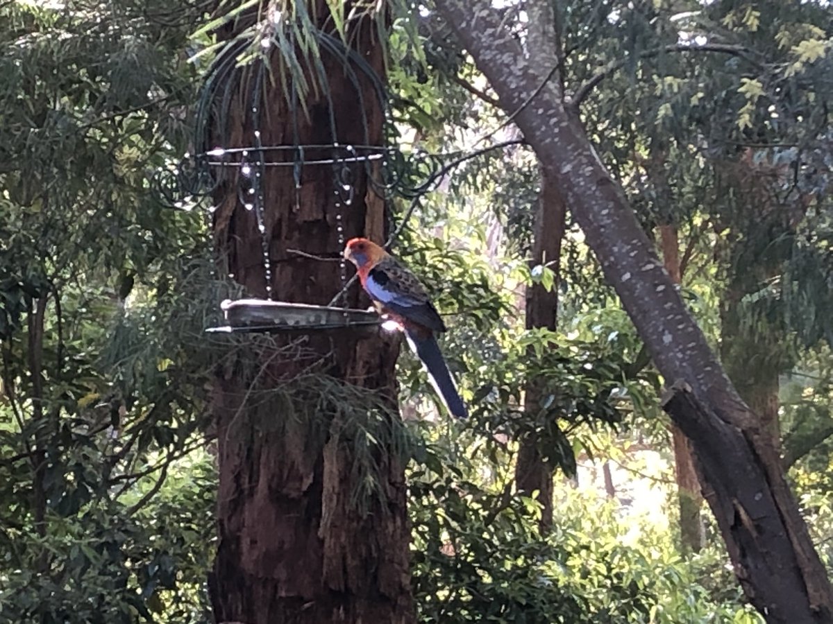 Lynton Manuel 🍷 tweet media