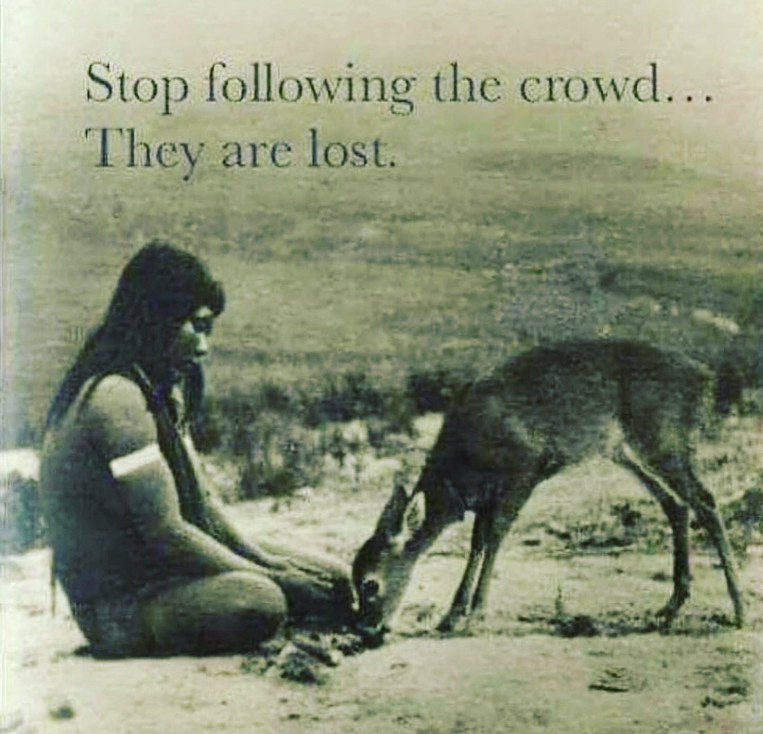 ginacarano's tweet photo. https://t.co/cWCK5HUV9w