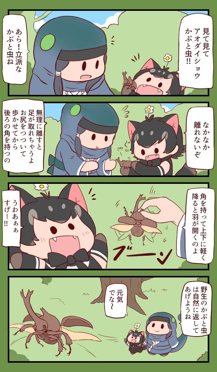 かぶと虫 