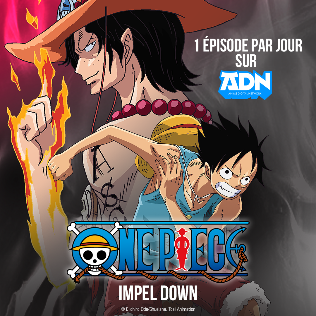 Adn One Piece Arc 1