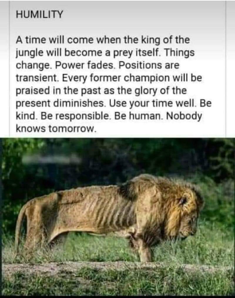 Philip Aduda (@philipaduda6) on Twitter photo 