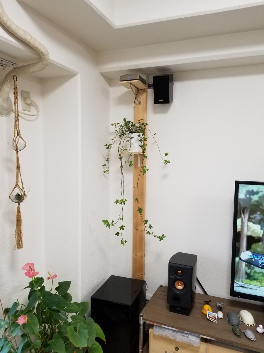 くまちゃん プランターハンガー買ったやつ 作ろうか悩んで結局ニトリで買った笑 かわいいよね いっぱいほしい