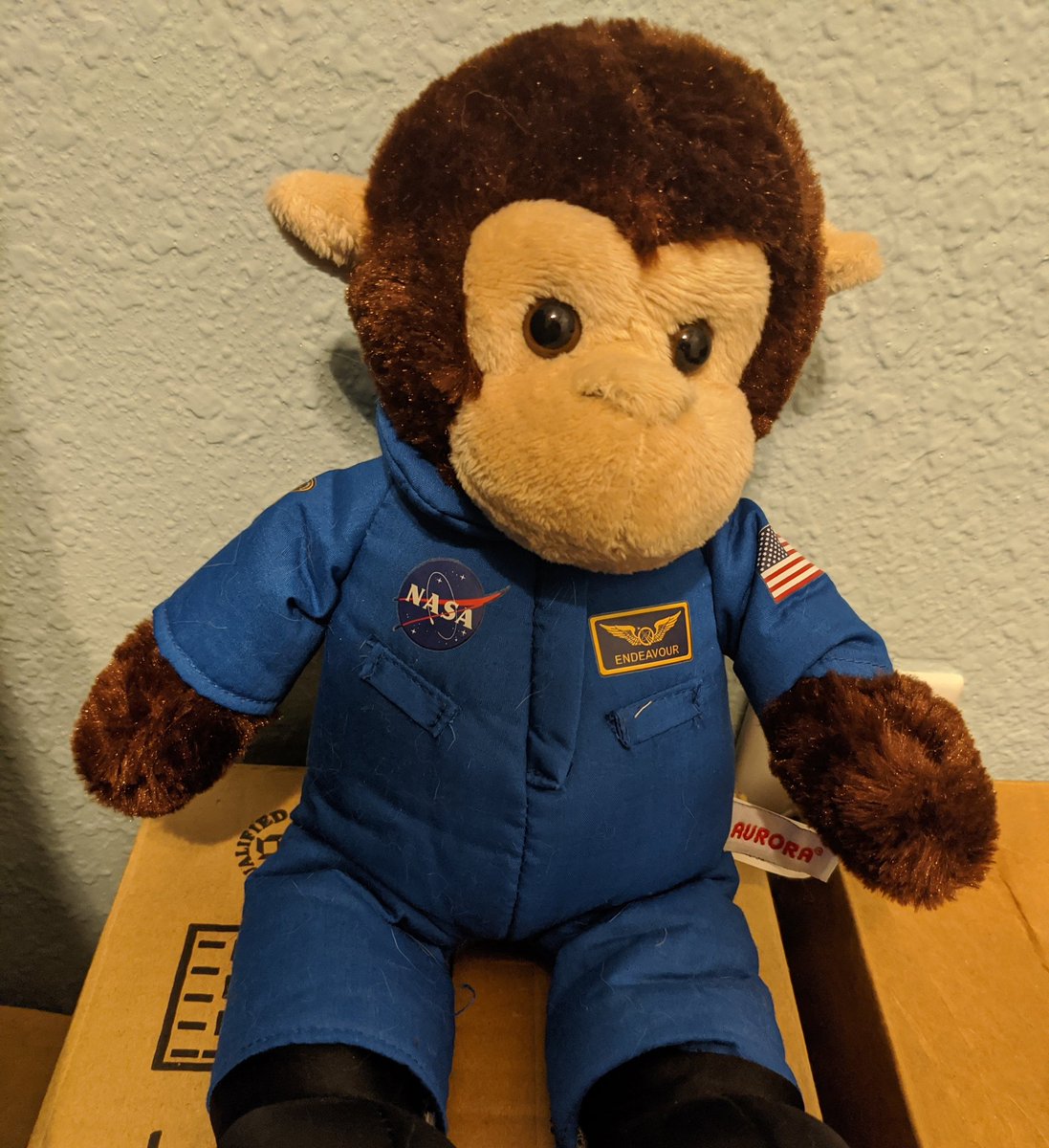 juliecmurphy's tweet photo. Looking forward to watching the #SpaceX crew safely touch down tomorrow!  #dragoncapsule #DragonEndeavour 🌎👨‍🚀👨‍🚀🚀🛸 https://t.co/iNen3lUN6X