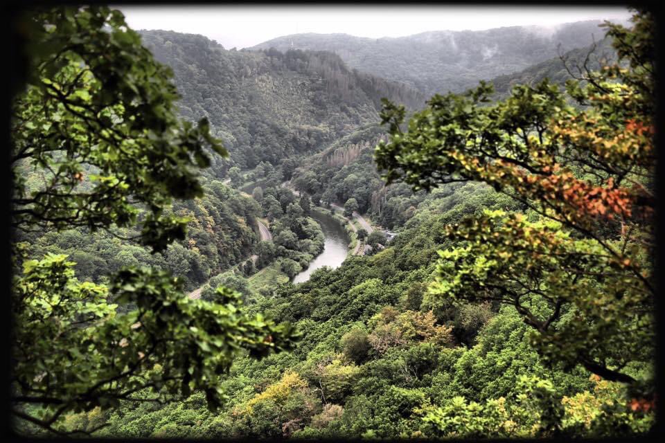 ChrissyvWellean's tweet photo. ... down in the valley ... #valley #river #haze #summer #nature #naturephotography #landscape #landscapephotography #trees #germany #viewpoint #mood #atmoshere #beauty #peace #dream #fairytale #magic #spell #memory https://t.co/b9NO6bqWYI