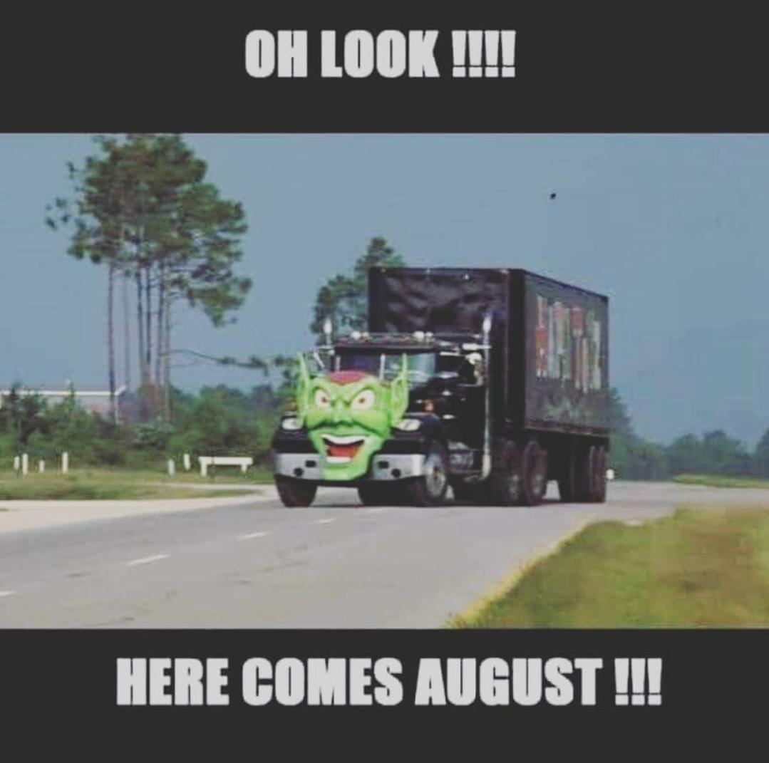 SquirrelonTO's tweet image. 