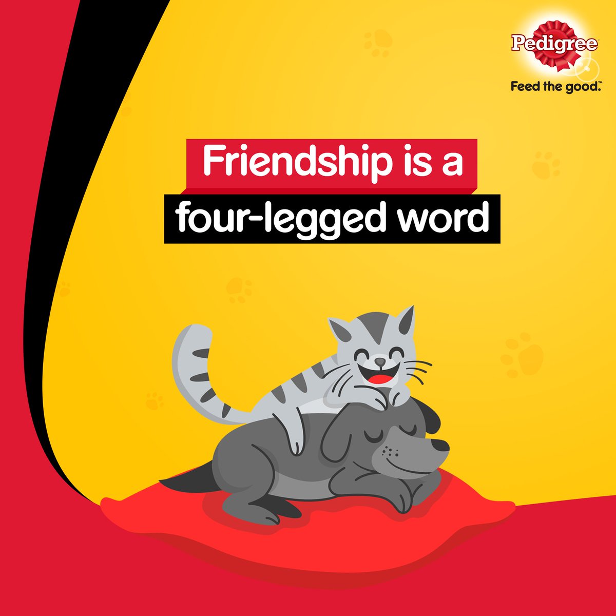A pet is the best kind of friend we can have to be with us through thick and thin. Today, let’s celebrate all our friendships that make our lives better. A special shout out to our friends @WhiskasIndia who make every day more special for us!
#FriendshipsDay #HappyFriendshipDay https://t.co/exYnNuhMLj