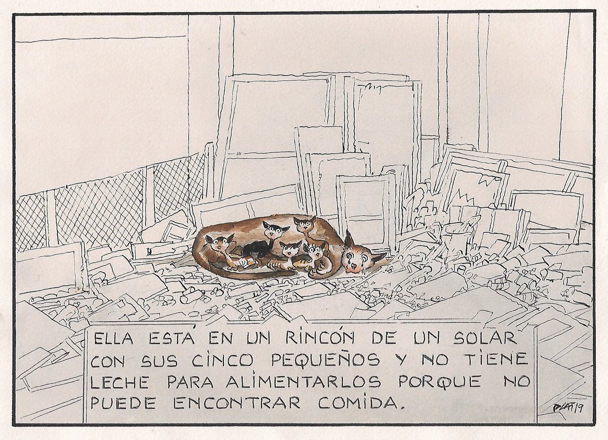 Mi viñeta de hoy Domingo 2 de agosto de 2020.
Aunque fuera el mejor músico del mundo…aunque fuera el mejor escritor del mundo…aunque fuera la eminencia humana más grande del mundo…no podría sentirme jamás orgulloso por ser humano humano mientras este dolor coexista conmigo.