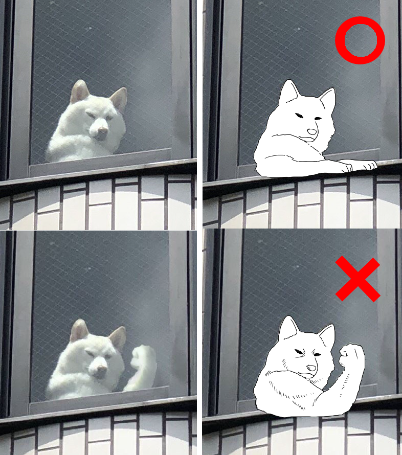 sirosibainu's tweet image. #定期監視