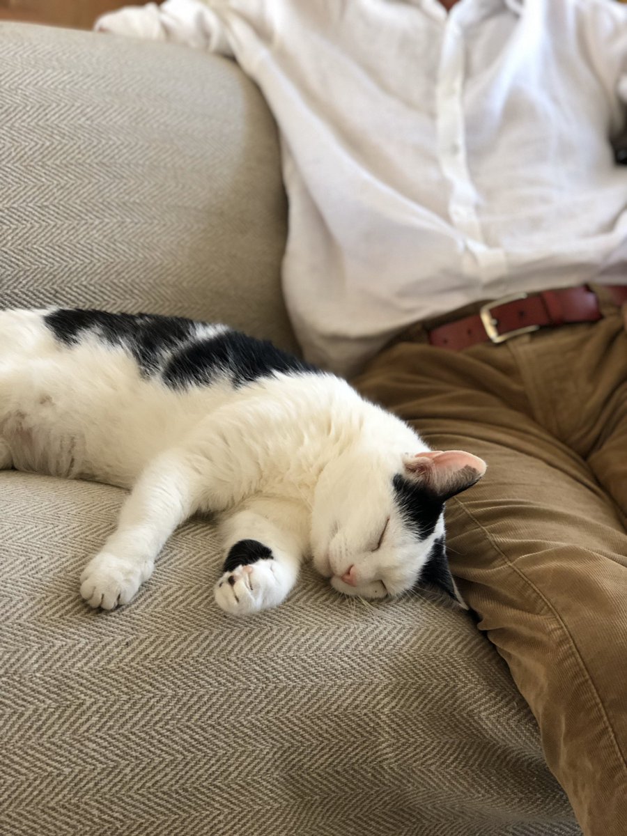 Diggory the Hungry Cat book for 2-4 year olds is available in audiobook, e-book and paperback on Amazon amazon.co.uk/gp/aw/d/B08DVX…