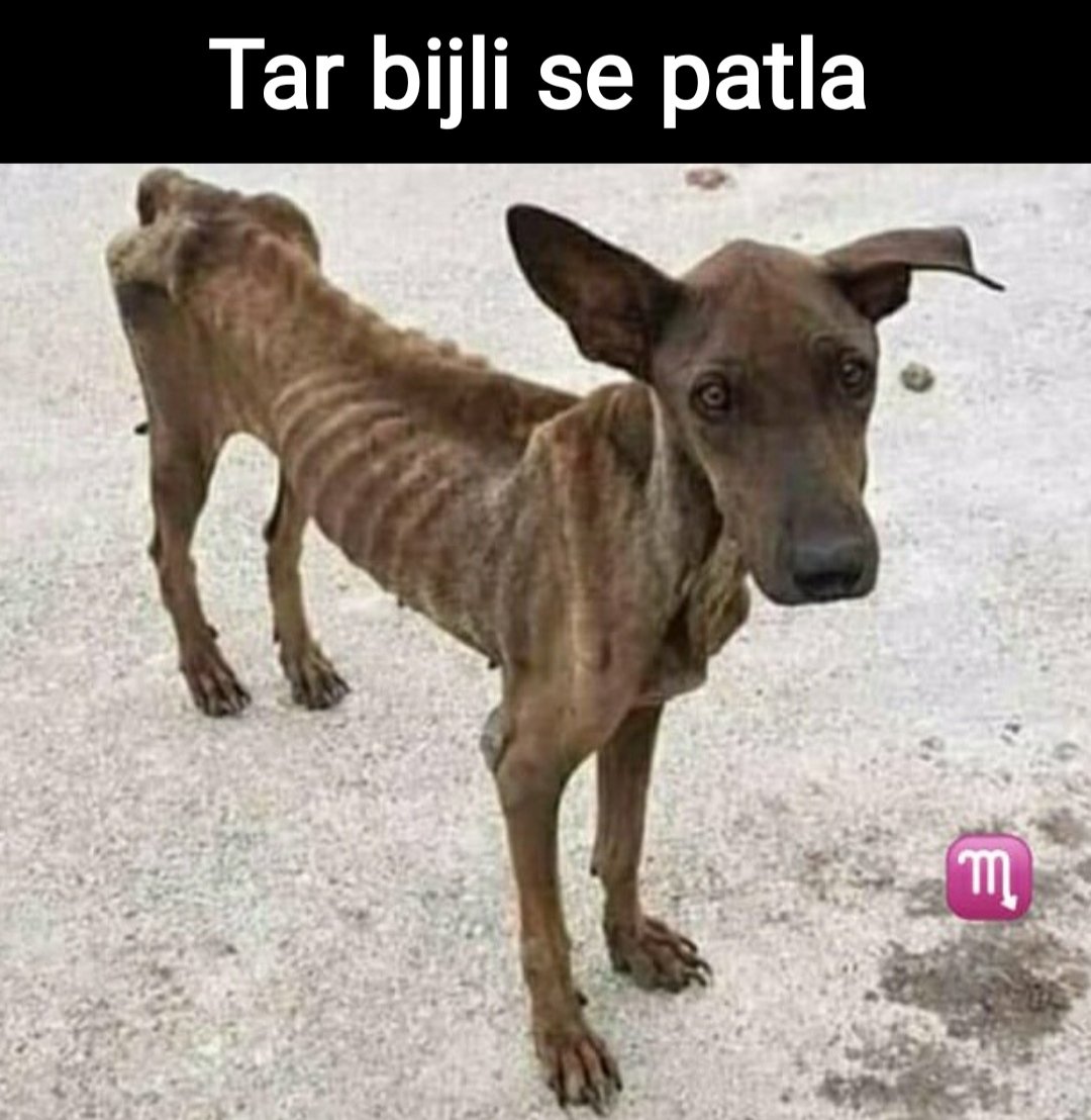 Friends Everyone Has In Their Group  #Thread