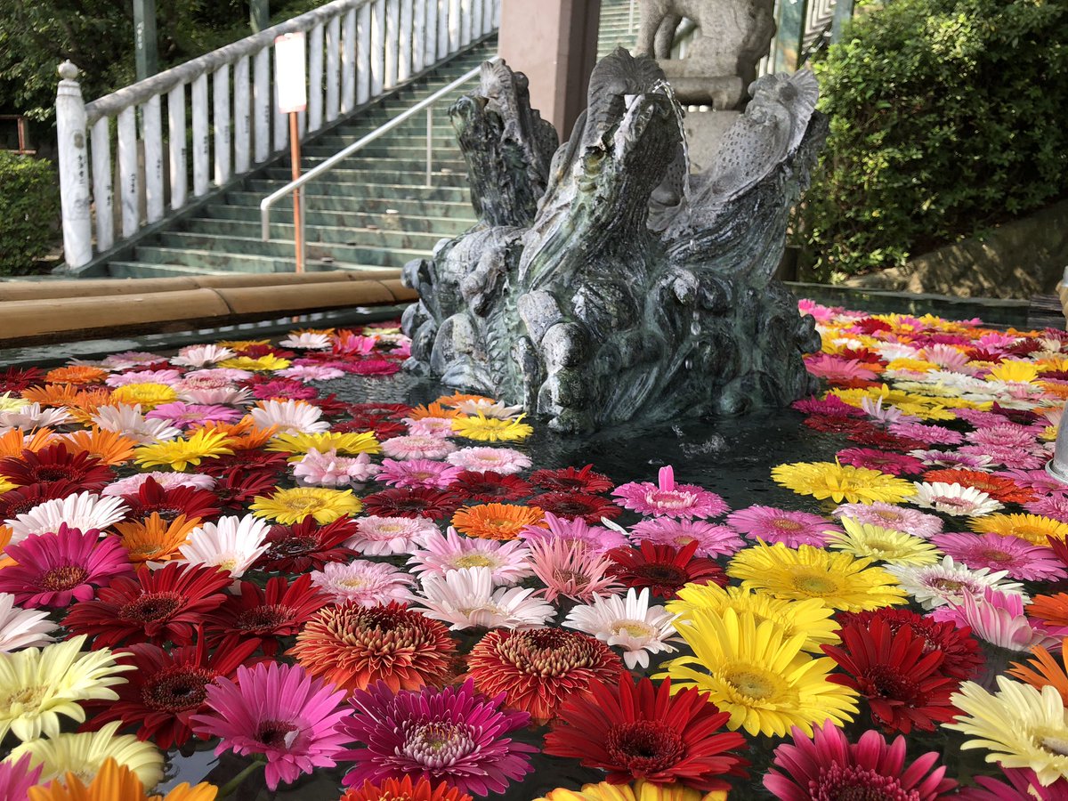 株式会社プラッツ公式 こちらは福岡県久留米市にある 成田山久留米分院のガーネットの花手水です 紫陽花の花手水も綺麗ですが ガーネットも映えますね