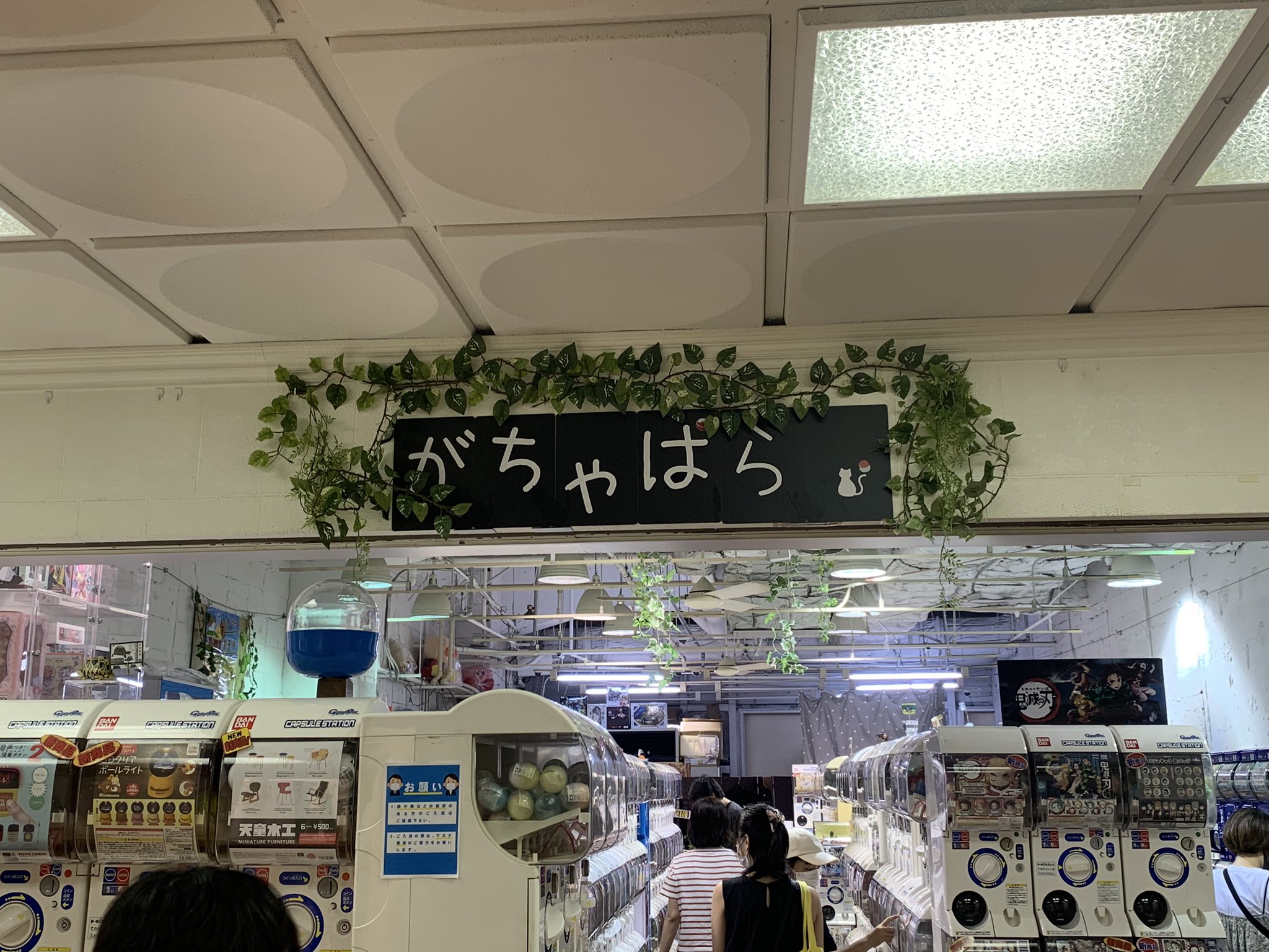 ガチャパラ 神戸三ノ宮店 Gachagachapara Twitter