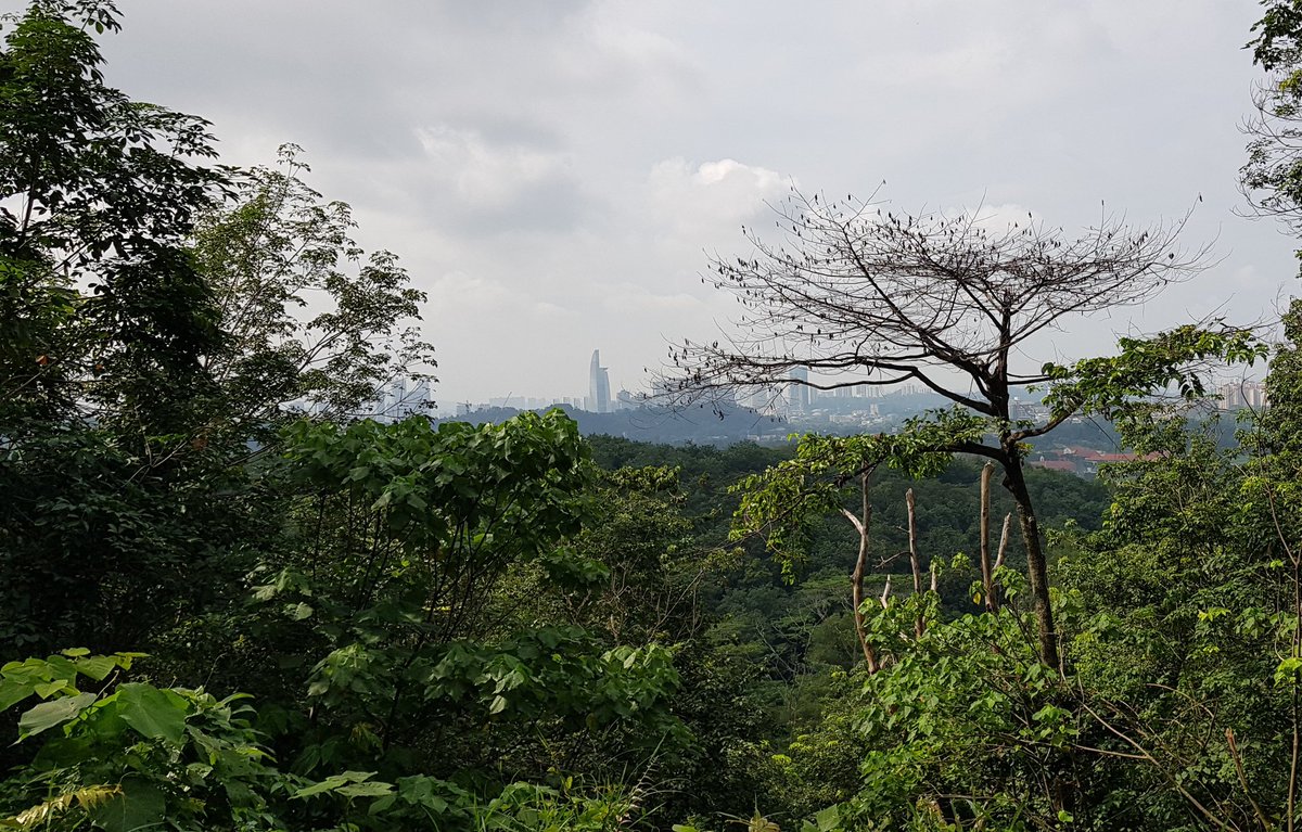 Gark88's tweet photo. Back to nature
#klview https://t.co/9lPn47UtIY