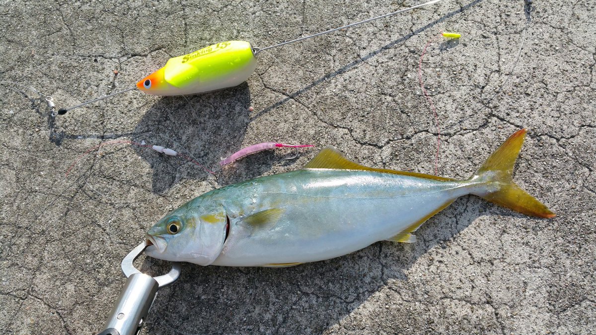 サーフトローリング