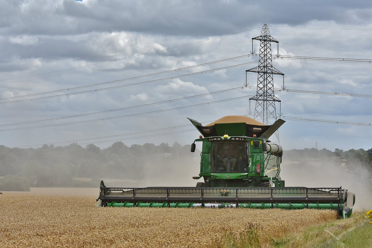 Dom Gwilliam-Bell tweet media