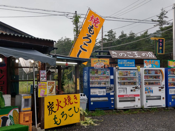 王 キノコ 山梨 金子 の