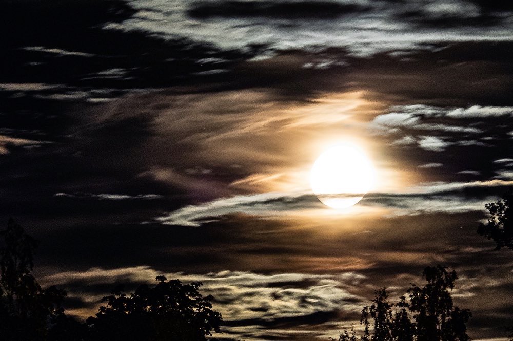 HenriBlock's tweet photo. Last night, the moonlit sky. https://t.co/tTVQuKNUCD