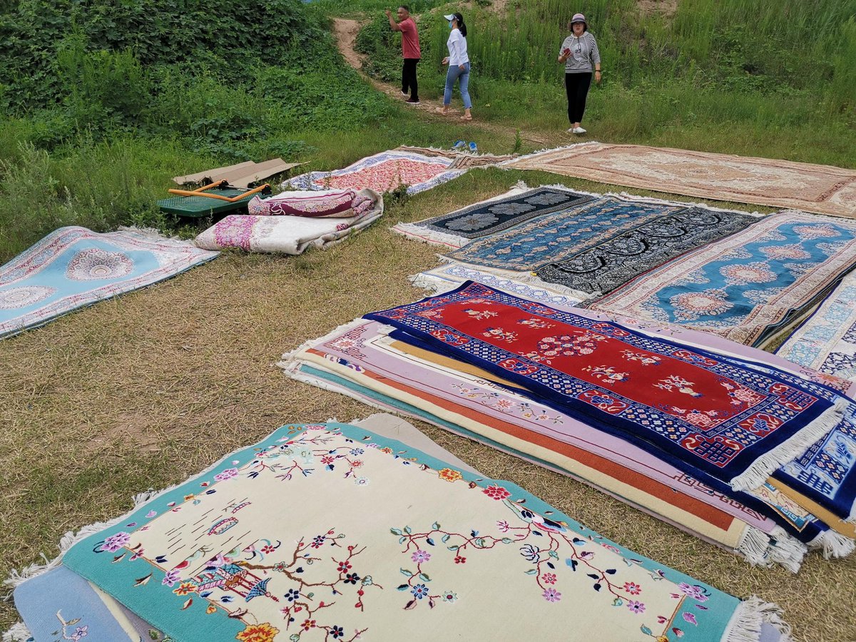 yilongrug's tweet image. Take new handmade carpet photos by the Yellow River.