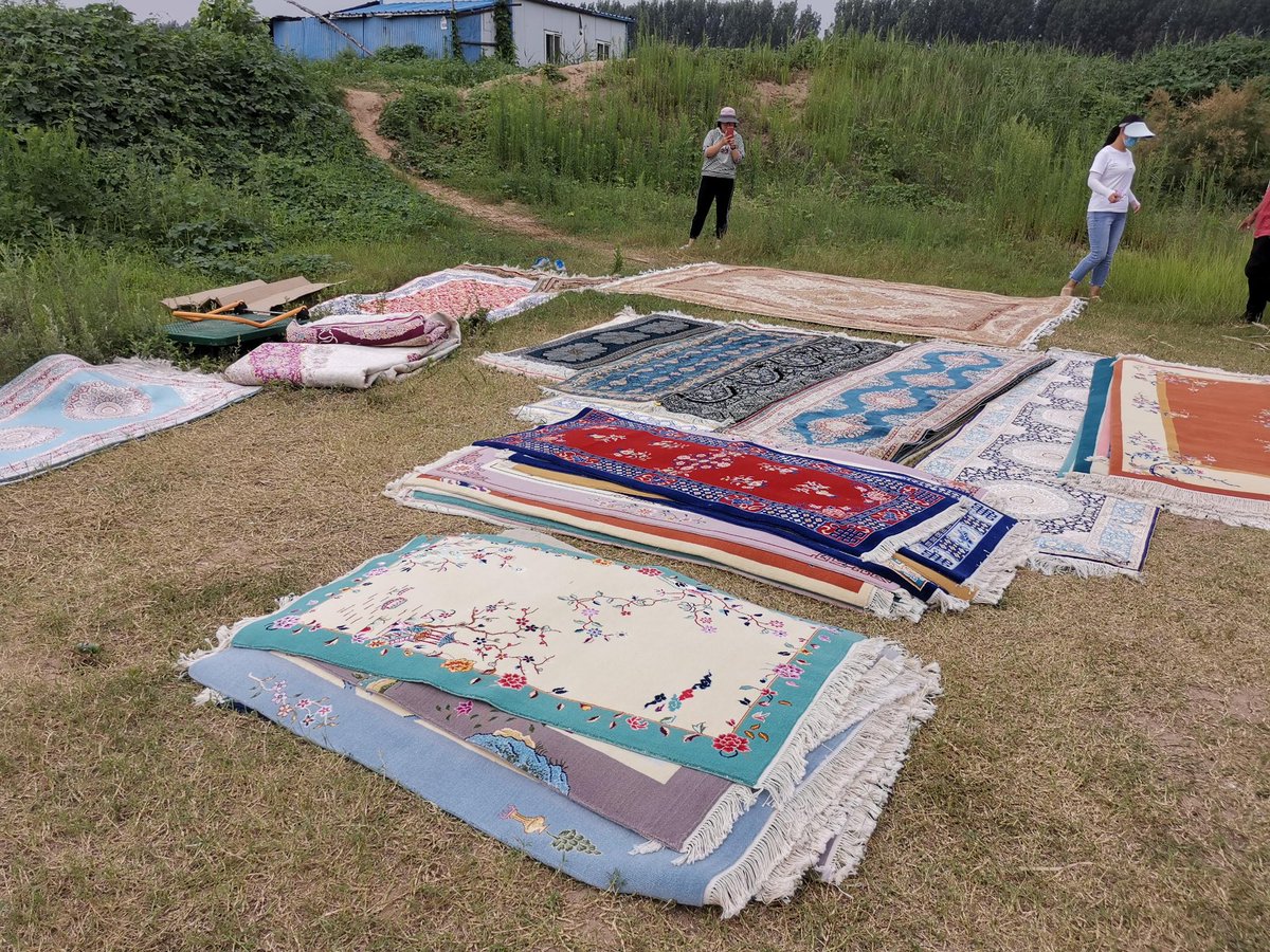 yilongrug's tweet image. Take new handmade carpet photos by the Yellow River.