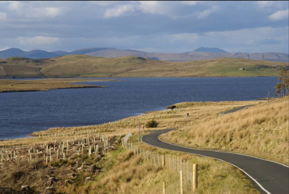 hodgetts_susan's tweet photo. The Firth is miles and I have come
Back to find Loch Thom maybe
In this light does not recognise me.
'Loch Thom': #WSGraham (1918-1986)
https://t.co/vTt42IThe0
@xoselbrea #poetry
📷'Loch Thom' : TheCoig https://t.co/1F5uiPaXCB