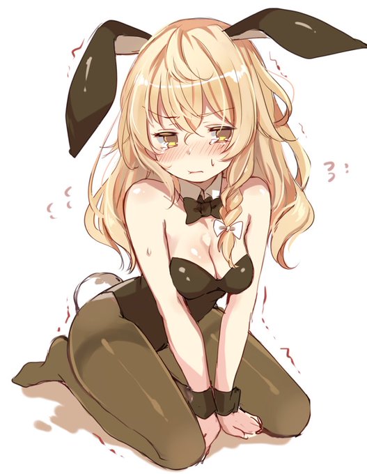 バニーの日 / ぱんつの日 