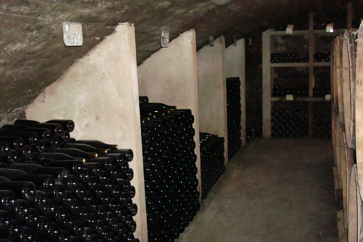 TuClubdeVinos's tweet photo. Hoy nos toca visita a bodega!! 
chsssss!!! que están durmiendo!! 🍷🤐😴🤫

#visitabodega #enoturismo #bodega #aprendiendodevino https://t.co/T6Sob5URap