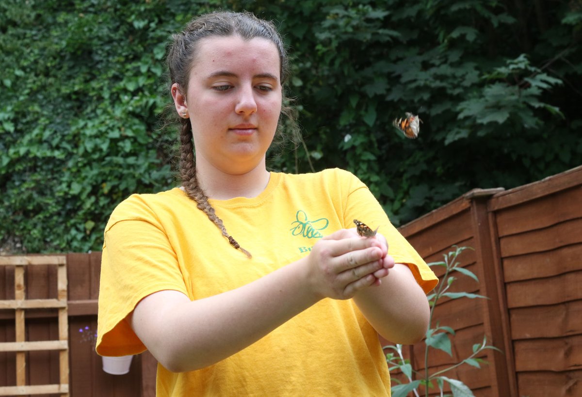 BuzzbeeNature's tweet photo. The Butterflies hatched and then ready for release the children gave them their freedom. #paintedlady #butterfly #butterflies #insectlore #insect #lifecycle #nature #naturegarden #education #children #learning #freedom #naturegroup #Norwich #Norfolk #environment @insectlore https://t.co/7z7D9ecicr