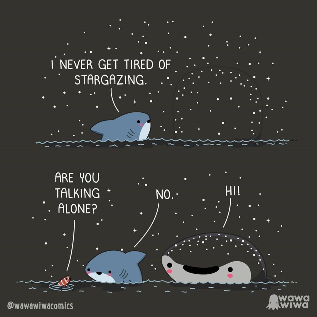 9GAG ❤️ Memeland tweet media