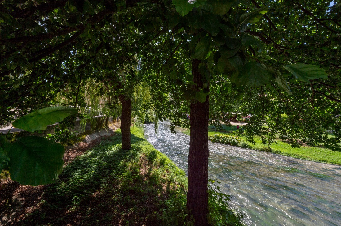 Museo della Canapa tweet media