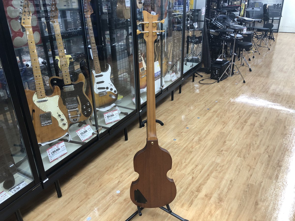 Greco VBS-1200 バイオリンベースが入荷しました！ バイオリンベース