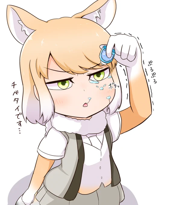 目薬がなかなか入らないチベスナ
#けものフレンズ 