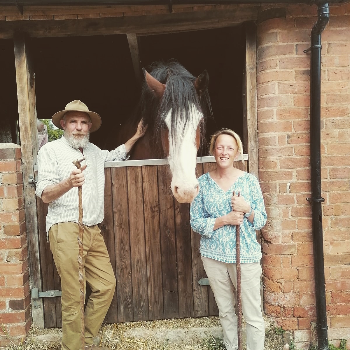 Coldcroftfarm's tweet photo. Summer days with Willam shire https://t.co/Ofu8ksAw85