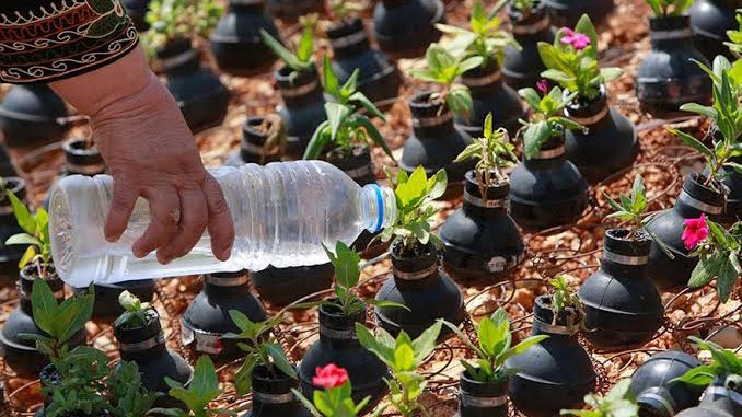 KritQal's tweet photo. İsrail’in attığı gaz bombalarına çiçek ekip kendisine bahçe yapan Filistinli bir kadın. https://t.co/3XpEBPZfYz