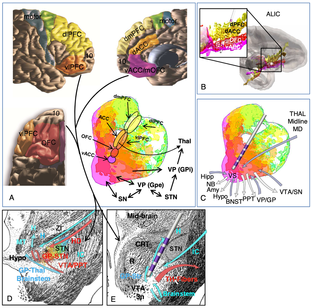Taking the excellent article by Suzanne Haber, @yendikiand  @SaadJbabdi in BioPsych as an opportunity for a thread:“The dMRI tractography streamlines labeled as the slMFB represent fibers of the Internal Capsule, not the MFB.” I could not agree more. https://www.biologicalpsychiatryjournal.com/article/S0006-3223(20)31773-X/fulltext