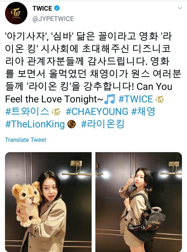 "chaeng cub/tiger"Chaeyoung herself, whole heartedly accepts the fact that she looks like "Simba." Disney acknowledge the fact that CY looks like simba and invited her to the première of "Lion King." TWICEs official twt acc put in their twt the word "Tiger Cub" and "Simba"