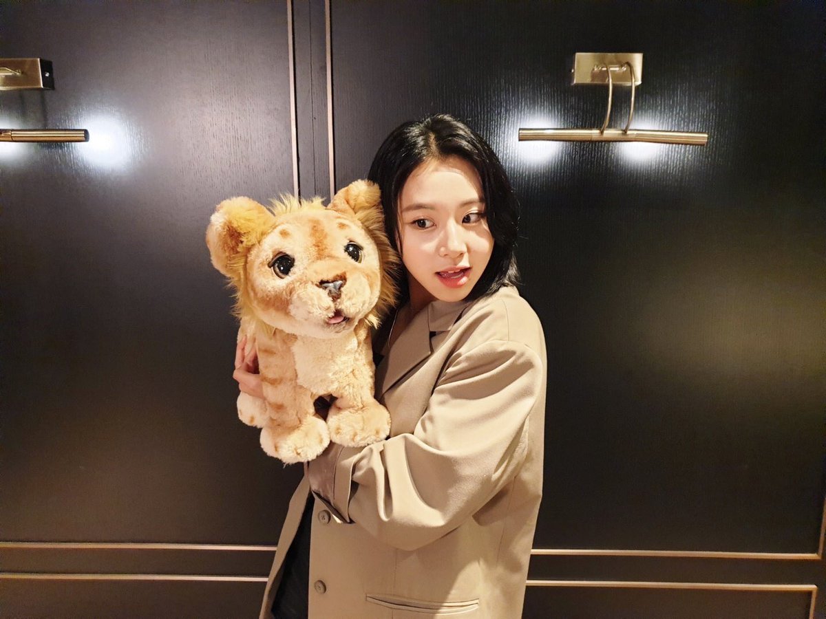 "chaeng cub/tiger"Chaeyoung herself, whole heartedly accepts the fact that she looks like "Simba." Disney acknowledge the fact that CY looks like simba and invited her to the première of "Lion King." TWICEs official twt acc put in their twt the word "Tiger Cub" and "Simba"