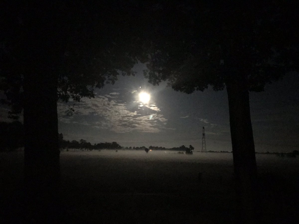 ingriddiepman's tweet photo. Te mooi om niet te delen....#dalfsen #hoonhorst #1augustus https://t.co/qz9W0qqWEc