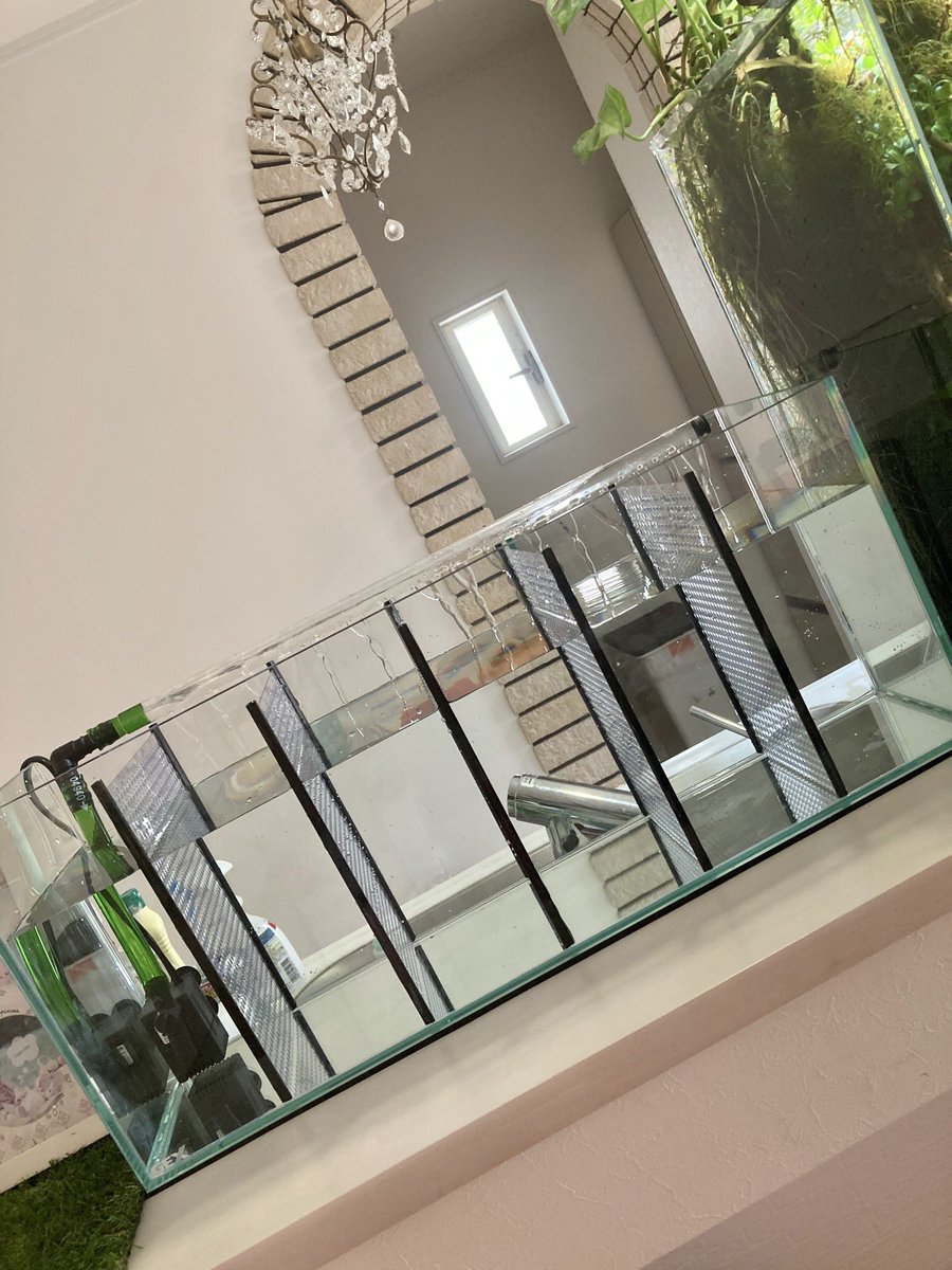 たぁん ベタ水槽 自作しました 左端には濾過材とヒーターが入ります 60スリム水槽 水中ポンプ シャワーパイプ パンチングアクリルボード スライドバーファイル等で1万円くらいでできました ろ材やホースは余り物 イメージ通りにできて満足