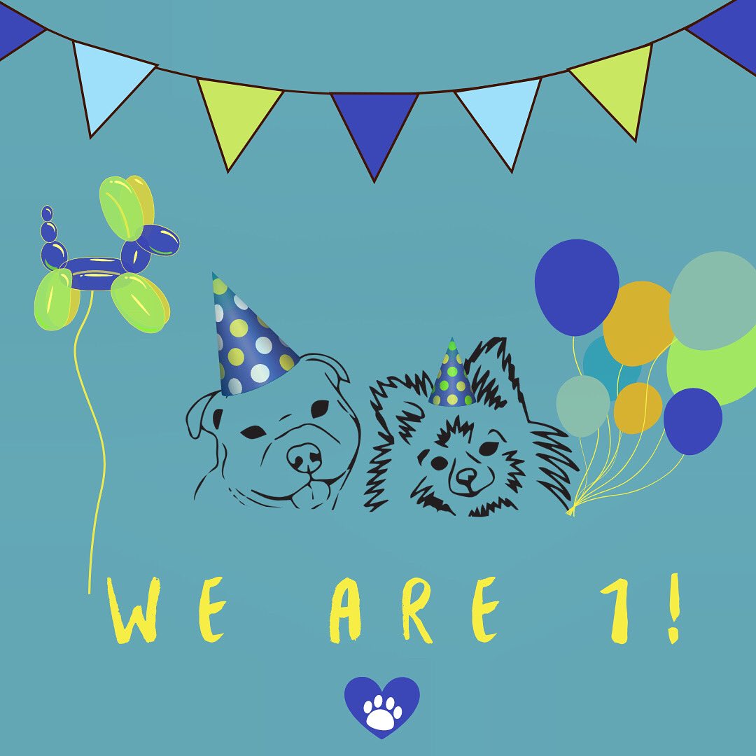 doggydropoff's tweet photo. Today is our 1st birthday 🥳🎂✨🐾🐶 We can’t believe how much we’ve achieved in a year! We didn’t expect to be where we are now, with the most amazing customers, support from family &amp; friends and followers that we have 🙏🏻💙🐾  Happy birthday to us 🥰🥳🐾✨🎂🐶 https://t.co/Z5Sd9sXpMu