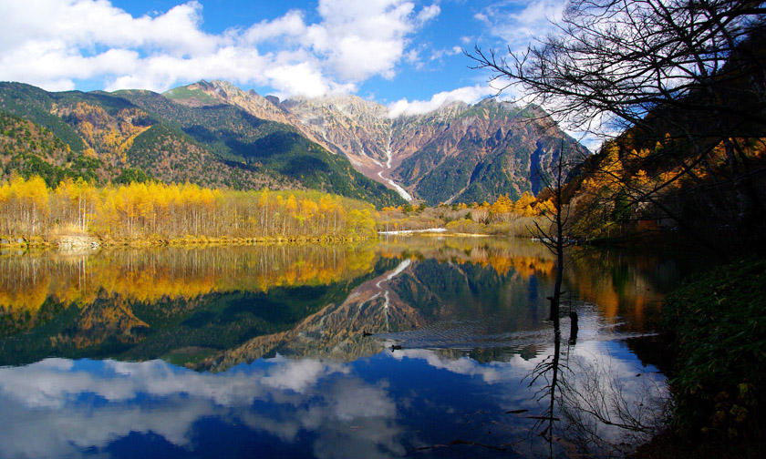 美しい日本 🇯🇵 tweet media