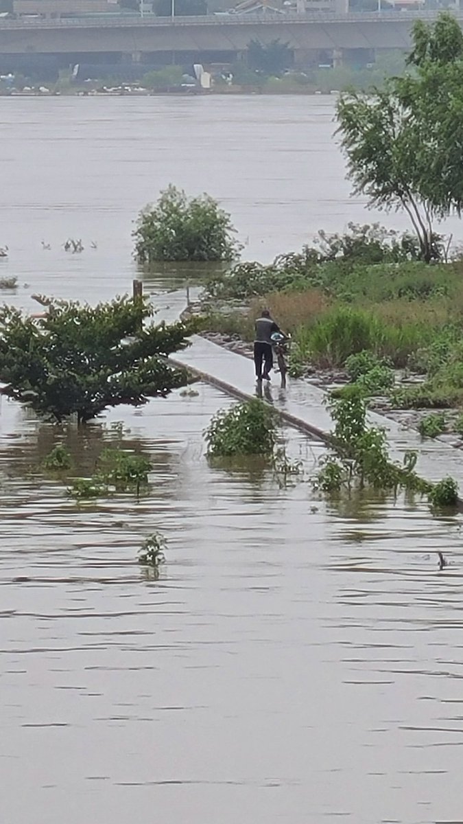 사라졌던 수재의연금이 부활했다. 2020년에 강둑이 부너지는걸 보게될줄이야. 지난3년 생태하천 만들겠다고 방치한 대가가 고스란히 재앙이되어 돌아왔다. 
최선을 다하고나서 하늘을 원망했어야지...
4대강사업을 모두 백지화 하겠다는 공약을 지지한 개돼지들의 염원이 이루어졌다.
자업자득이다.