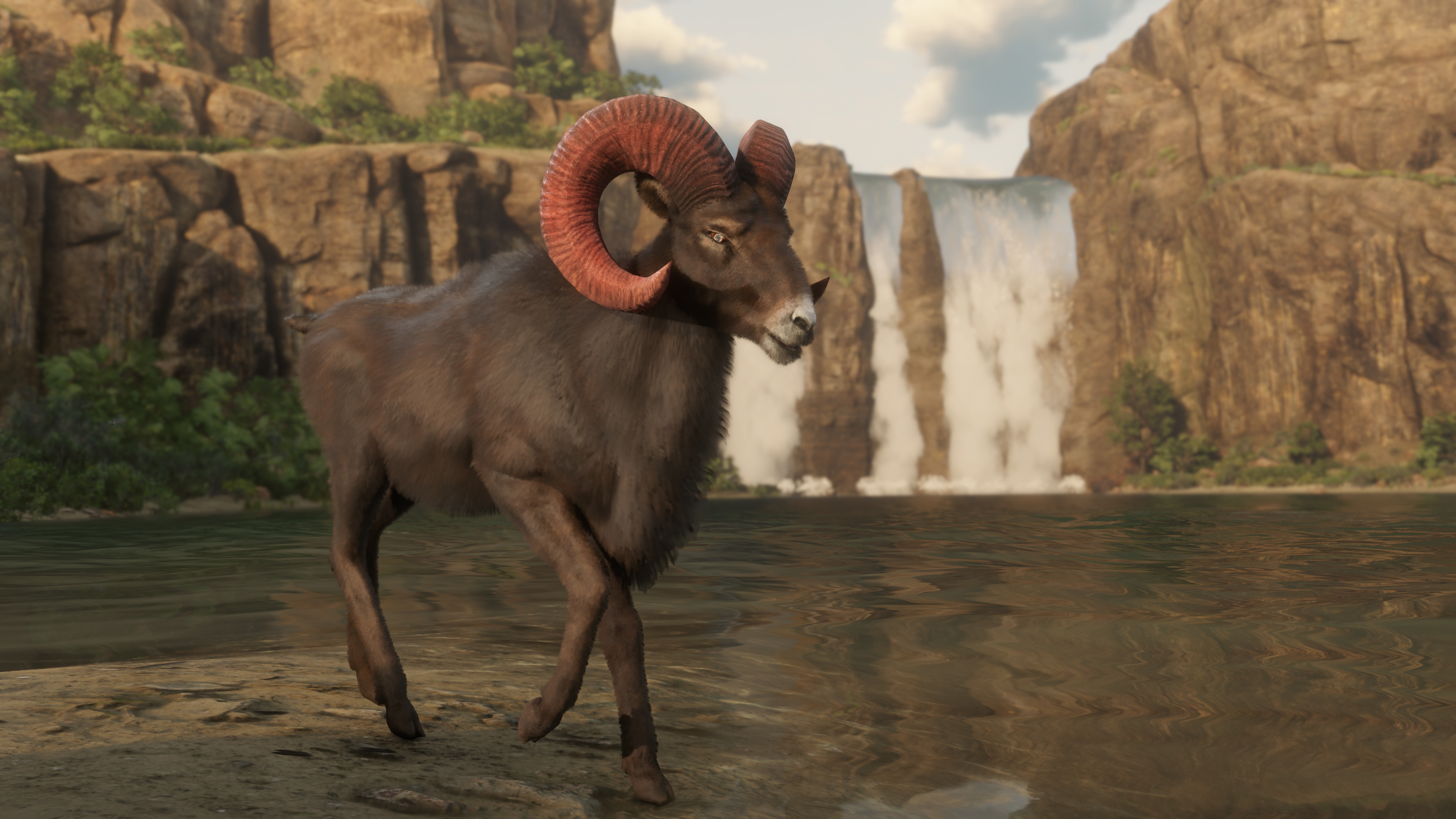 PlayStation Twitter: "PS Plus players who start the Naturalist role in Red Dead Online before September 15 get early access to study, sample or hunt the Legendary Gabbro Ram, Legendary Chalk