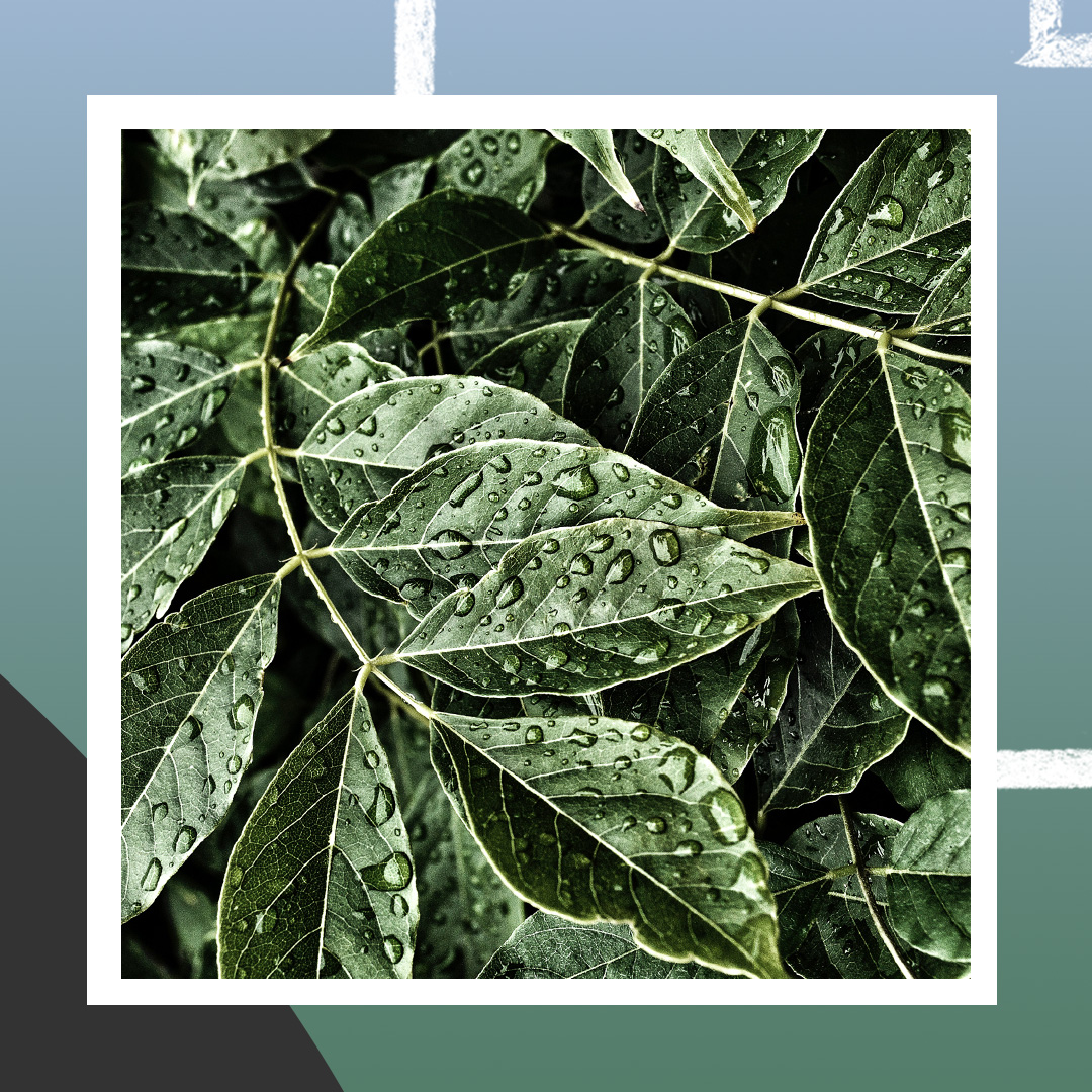 HCBetterDays's tweet image. As the deer pants for streams of water, so my soul pants for you, O God. My soul thirsts for God, for the living God.
Psalm 42:1
.
.
#church #churchcommunity #churches #churchfamily #counseling #counselor #faithandfamily #healing #health #jesus #leader