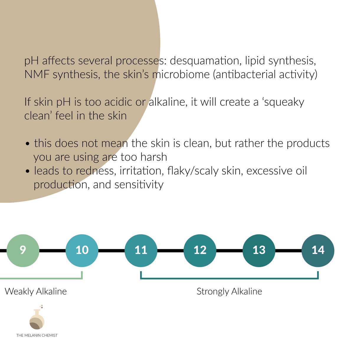 Why is pH so important? Well if it gets affected your skin’s bioprocesses will get affected: your skin will not shed skin cells normally, make essential lipids, your skin will lose even MORE WATER, and the barrier overall will get messed up among many other things