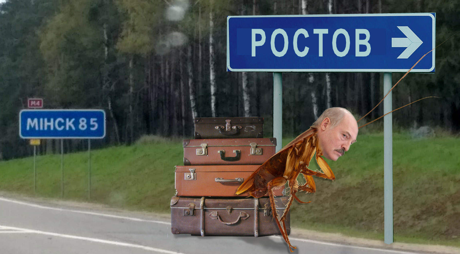 Фотожабы мемы