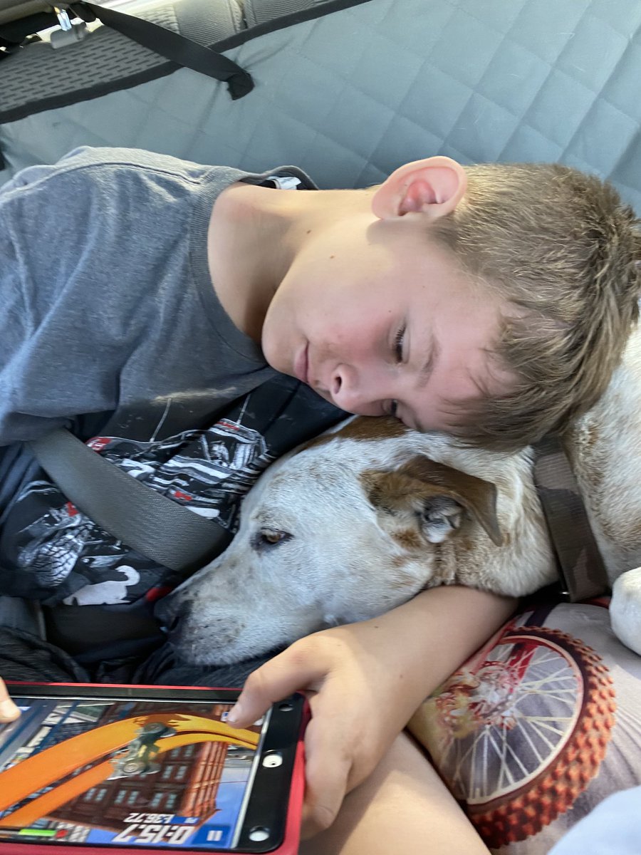 aprilfraley33's tweet photo. Such a fun camping trip this weekend! Loved spending time with family and friends that are like family! https://t.co/rWv51xrB5K