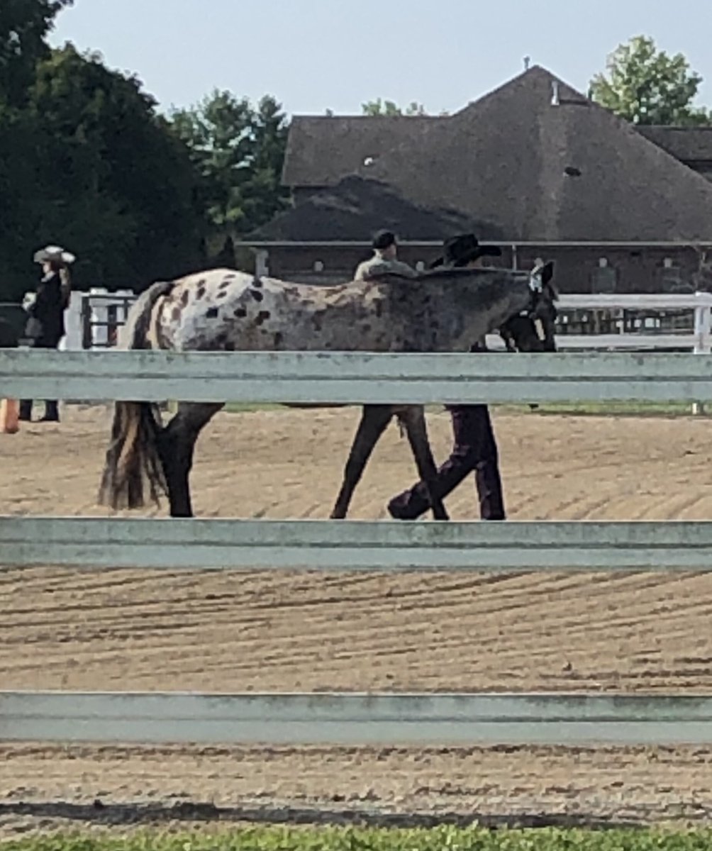 Jennifer Giddens tweet media