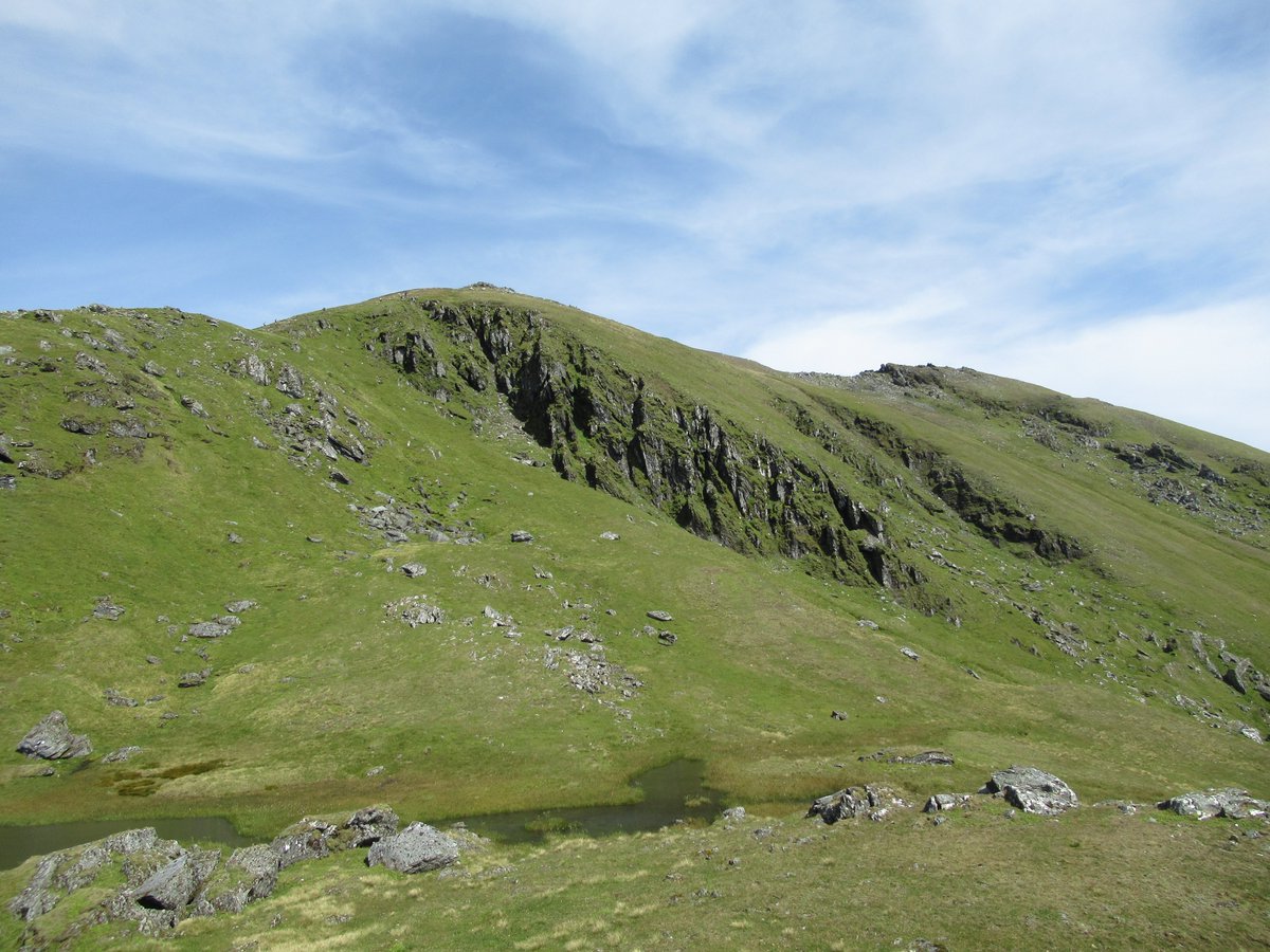 Phew! I hope you enjoyed my tweets for #wildflowerhour from our family weekend outing #botanising on #NTSBenLawers. It's the best site in Britain for #rare #plants. I hope that they can continue to receive the attention and #protection they need <a href="/SaveNTSrangers/">Save NTS Rangers</a> #montane #botany