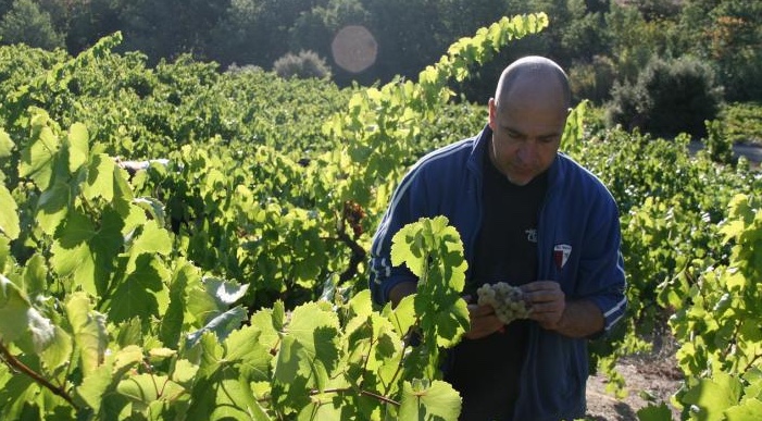 OutsidersLR's tweet photo. Latest praise for Les Clos Perdus: "Their rosé is unusual, full of character, a wine to be taken very seriously indeed...But their reds are breathtaking – Pinot-like in their transparency and grace without losing any of their rich southern-France depth." https://t.co/gH59aNxUQW https://t.co/k2MyEkvVII